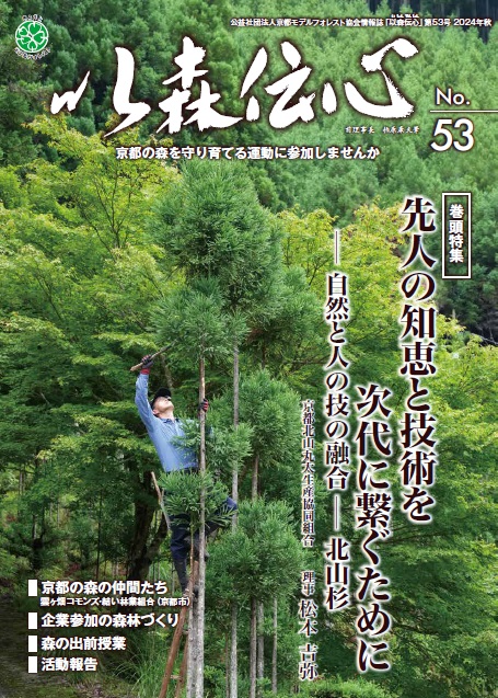 第53号（2024年9月）の表紙画像